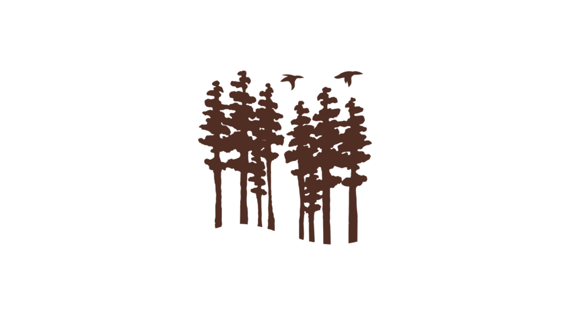 Untitled%20design%20(1).png